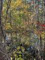 68 Nelson Road - Photo 54