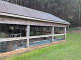 4932 Zion Hill Road - Photo 49