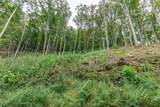 Lot 20 Buckhead Hills - Photo 13