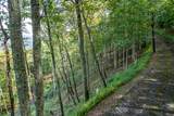 Lot 20 Buckhead Hills - Photo 21