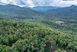 Lot 20 Buckhead Hills - Photo 30