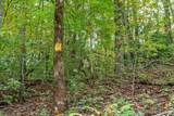 Lot 20 Buckhead Hills - Photo 7
