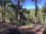 Lot 2 Buckhead Hills - Photo 10