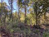 Lot 2 Buckhead Hills - Photo 34