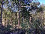Lot 2 Buckhead Hills - Photo 38
