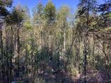 Lot 2 Buckhead Hills - Photo 42
