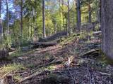 Lot 2 Buckhead Hills - Photo 48