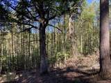 Lot 2 Buckhead Hills - Photo 49