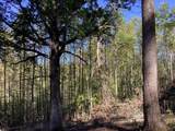 Lot 2 Buckhead Hills - Photo 50