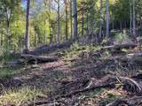 Lot 2 Buckhead Hills - Photo 51