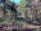 Lot 2 Buckhead Hills - Photo 54