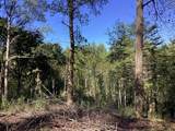 Lot 2 Buckhead Hills - Photo 58