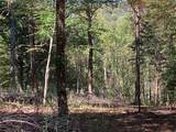 Lot 2 Buckhead Hills - Photo 6