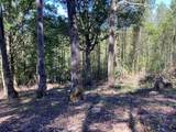 Lot 2 Buckhead Hills - Photo 62