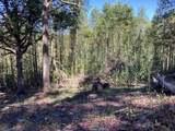 Lot 2 Buckhead Hills - Photo 64