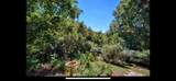 2532 Hunter Road - Photo 42