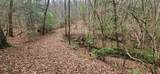 Lot 18 Gray Fox Trail - Photo 1