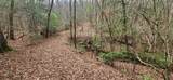 Lot 18 Gray Fox Trail - Photo 7