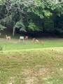 3147 Old Hwy 64 W - Photo 101