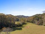 492 Johnny Gap Road - Photo 4