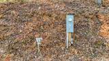 674 Warbler Road - Photo 14