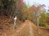 339 Game Trail Drive - Photo 48