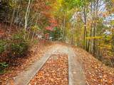 339 Game Trail Drive - Photo 49