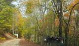 339 Game Trail Drive - Photo 51