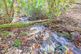 1307 Clear Creek Road - Photo 40