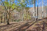 1307 Clear Creek Road - Photo 48