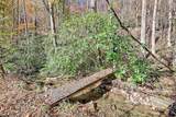 1307 Clear Creek Road - Photo 5