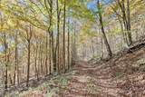 1307 Clear Creek Road - Photo 61