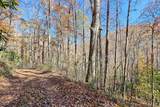 1307 Clear Creek Road - Photo 62