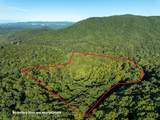 Lot 3 Wilderness Way - Photo 12