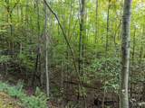 Lot 3 Wilderness Way - Photo 3