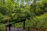 1519 Tipton Springs Road - Photo 45