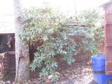 2385 Road 4748 - Photo 16