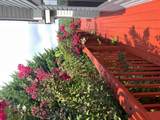 64 Starlight Lane - Photo 53