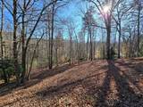 230 Pine Forest Loop - Photo 43