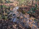 230 Pine Forest Loop - Photo 44