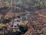 230 Pine Forest Loop - Photo 45