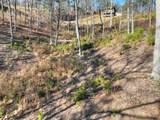 lot 16 Mountain Laurel Ridge - Photo 10