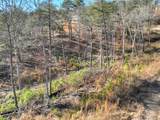 lot 16 Mountain Laurel Ridge - Photo 5