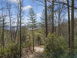 793 Jackie Cove Road - Photo 35