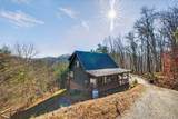 223 Red Bud Lane - Photo 45