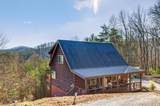 223 Red Bud Lane - Photo 46