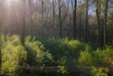 Lot 56 Riverbend Trail - Photo 16