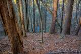 Lot 56 Riverbend Trail - Photo 21