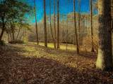 188 Clear Creek Valley Drive - Photo 58