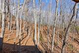 87 Tuscarora Trail - Photo 40